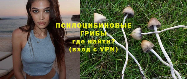 МДПВ Михайловка