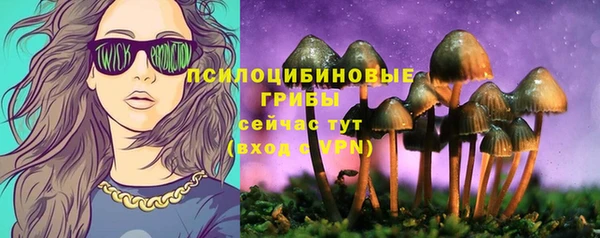 apvp Михайловск