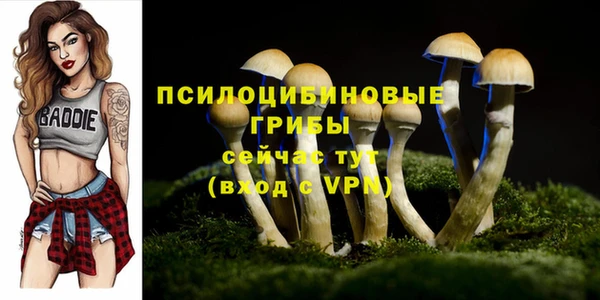 apvp Михайловск