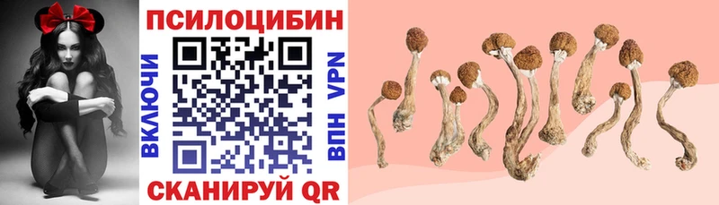 shop телеграм  хочу наркоту  Вышний Волочёк  Псилоцибиновые грибы ЛСД  MEGA маркетплейс 