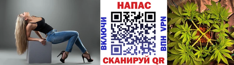 продажа наркотиков  Вышний Волочёк  Канабис индика 